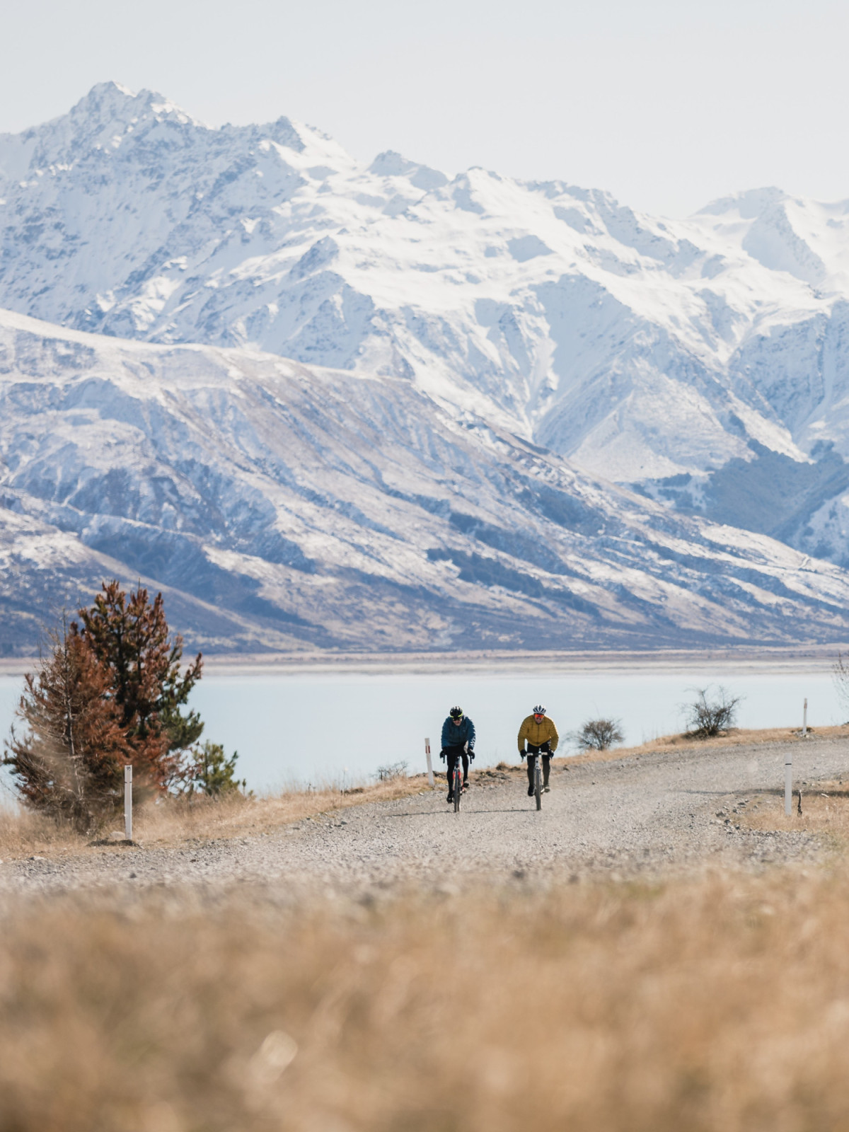 Alps 2 Ocean Ohau by Cindy Mottelet