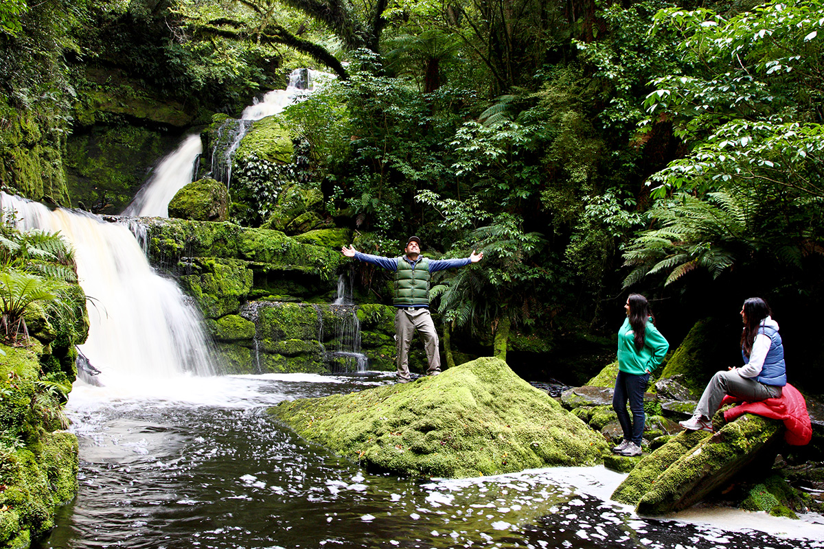 Day 10 image 1 Forest bathing at McLean Falls credit Jeremy Pierce WEB v2