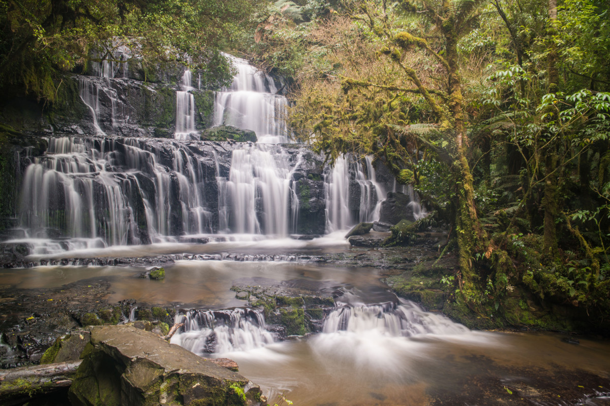 Nature Lovers Purakaunui 