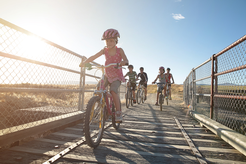 New Zealand Bike Rides