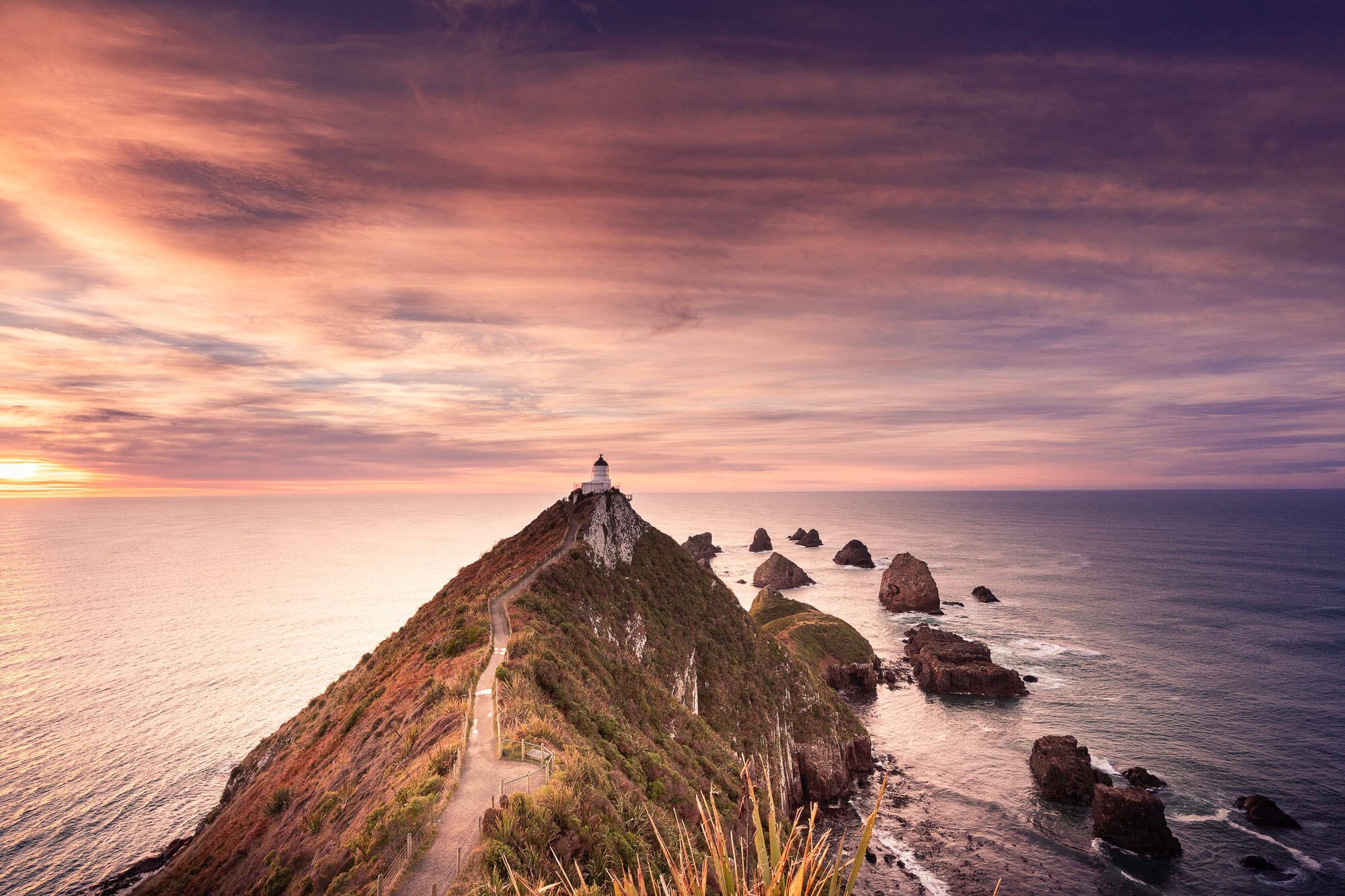 nugget point clutha