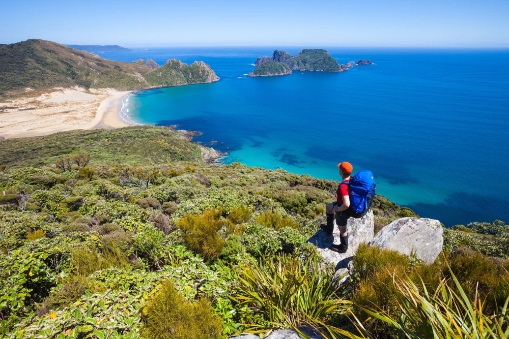 stewart island walk